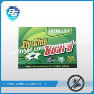 fly glue paper