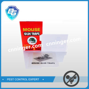 mouse glue traps factory