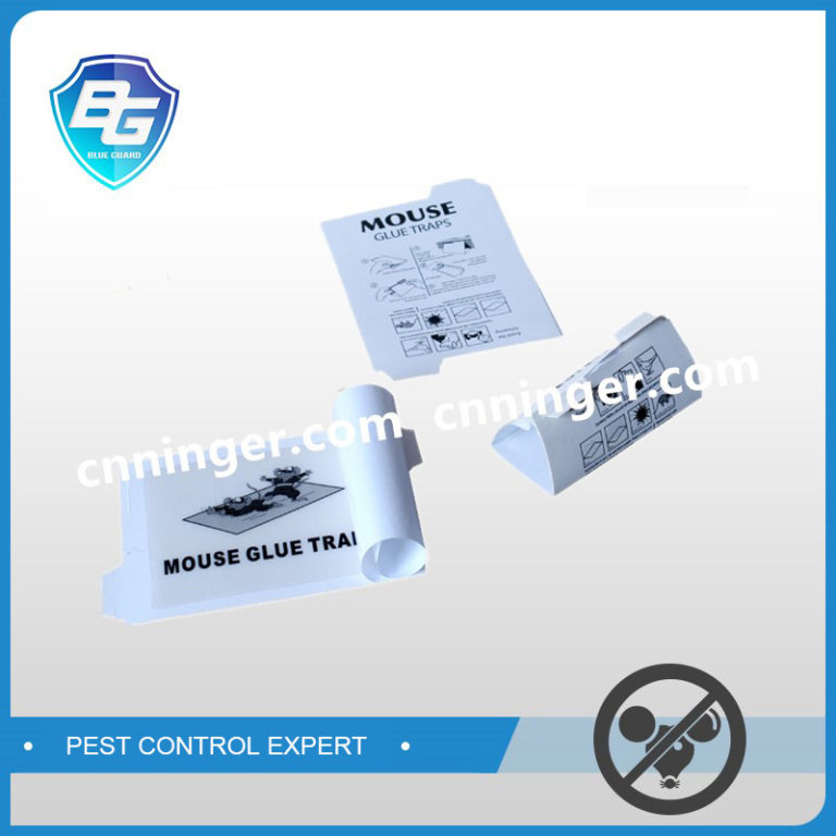 Mouse Glue Board,Flat glue traps for mice&insectsFoldingNRTG0061