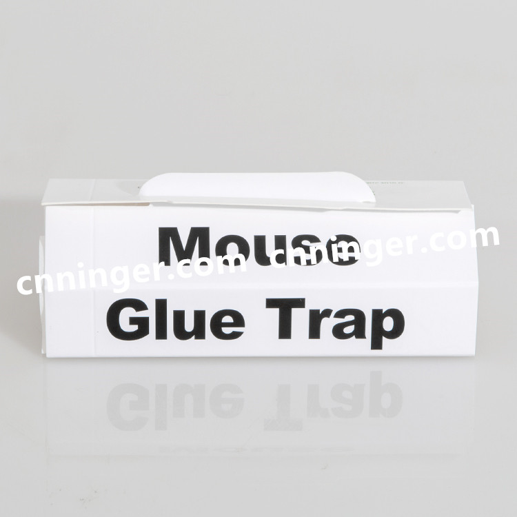mouse glue boards