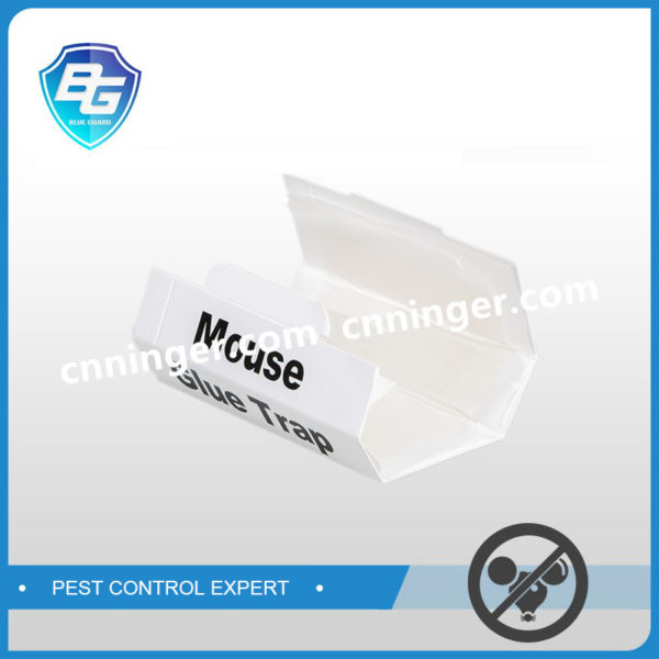 mouse glue trap supplier manufacturer factory