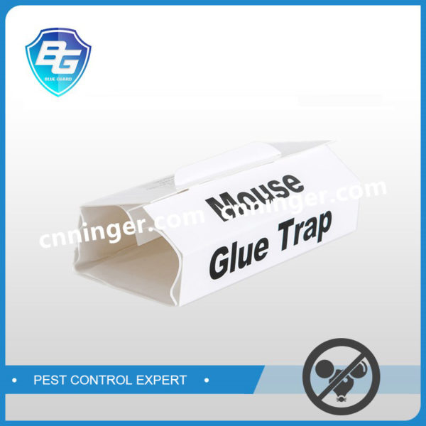 mouse glue trap with release paper