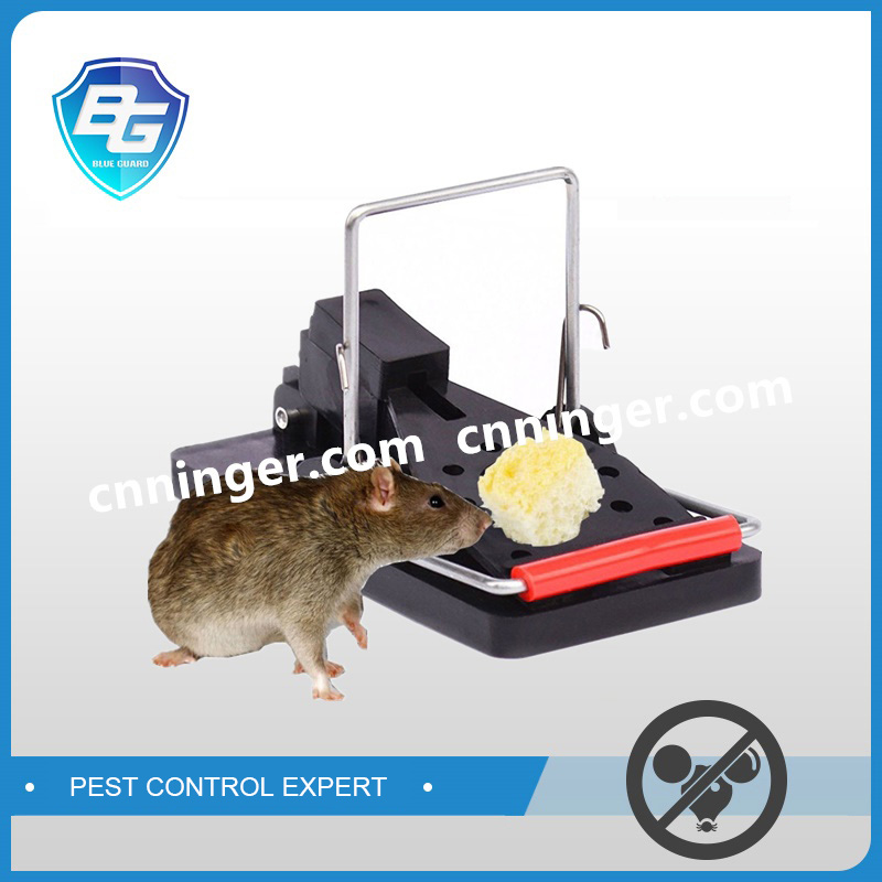 Pest Control Rat Trap Metal Indoor Outdoor Vietnam Multi Catch Mouse T –  Company