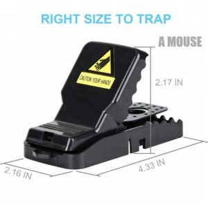 plastic-mouse-trap