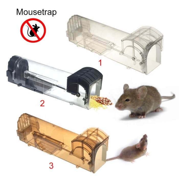 live mouse trap