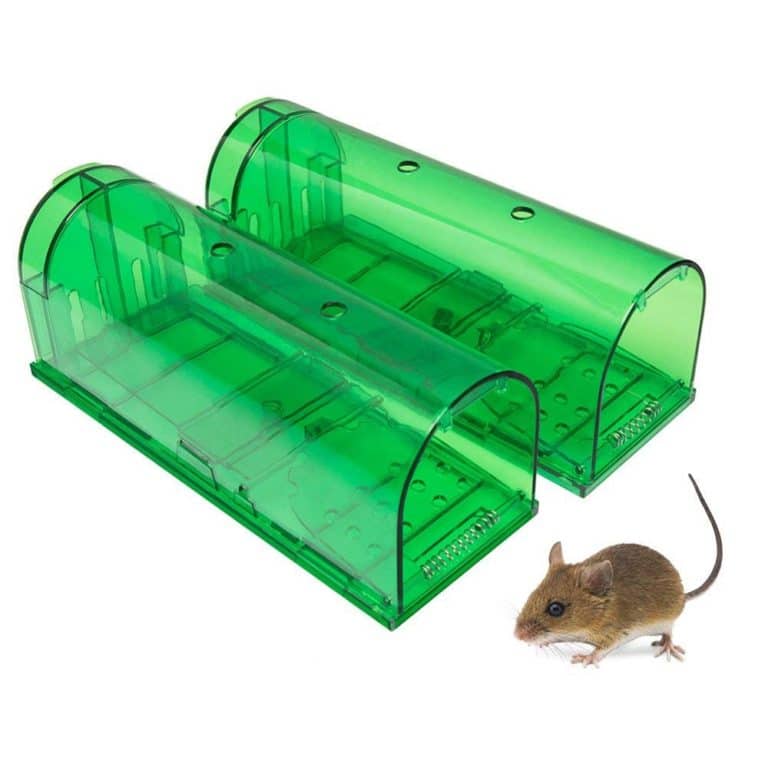 Best Live Mouse Trap Manufacturer Rat Trap Factory Since 1990